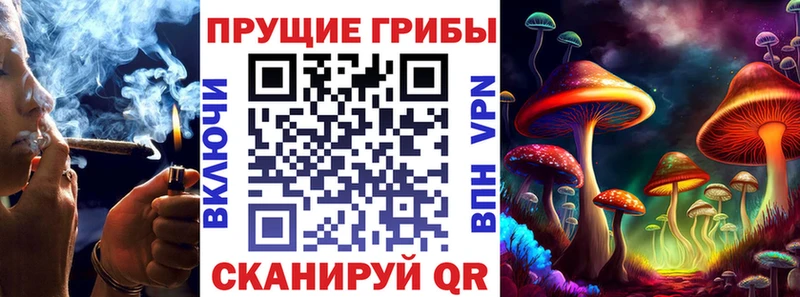 Псилоцибиновые грибы Psilocybine cubensis Нытва